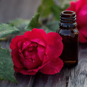 Ayuzic Rose (Gulab Oil) Essential Oil Natural and Therapeutic Grade with Glass Dropper 10 ml